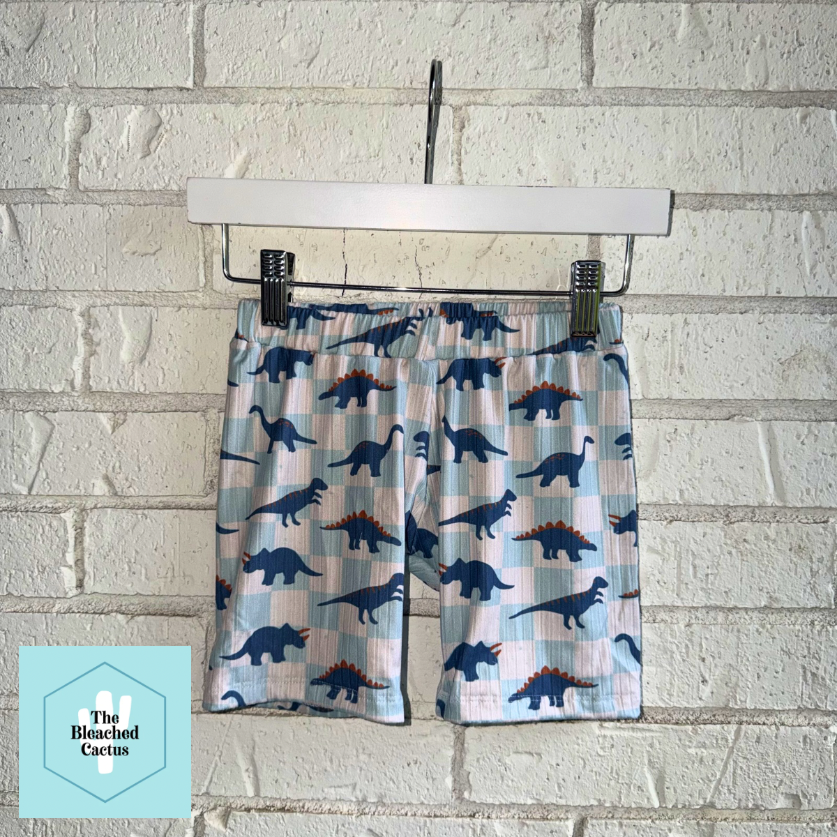 RTS | 5/6 Boy Shorts | Dino Dude